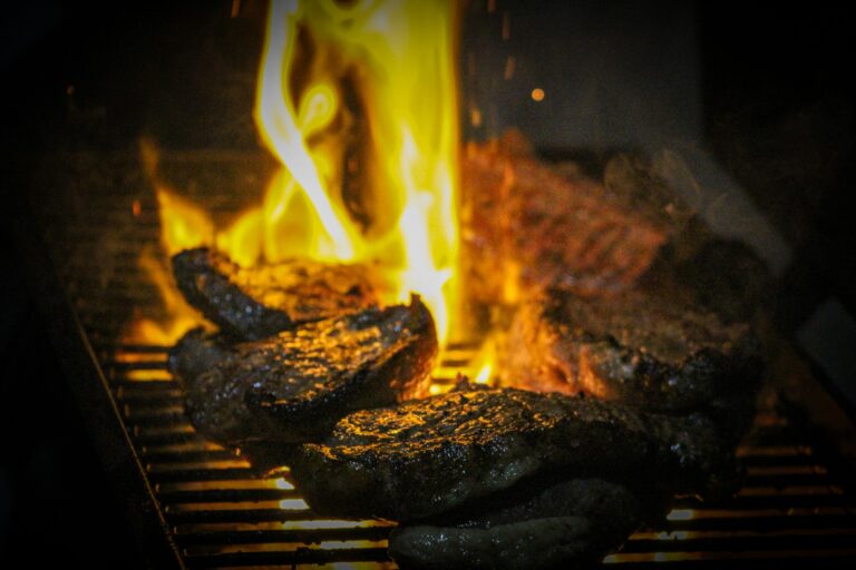 Enders Urban Gasgrill kompakt mit Edelstahlbrennern und emailliertem Gussrost