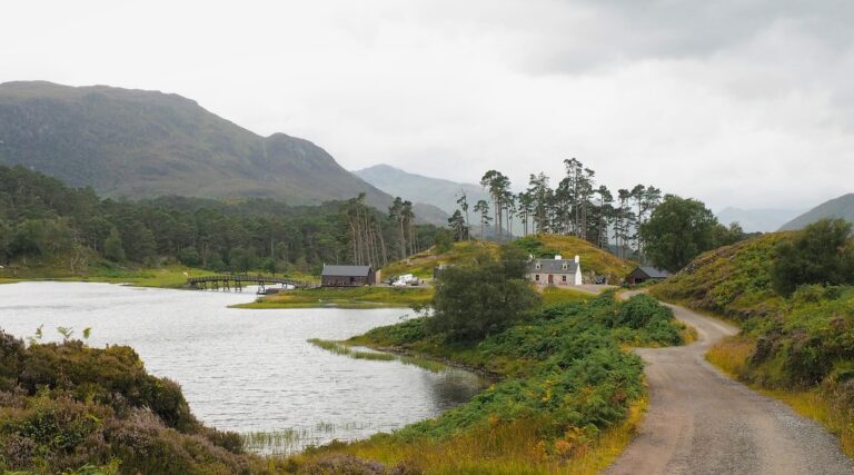 Verschiedene Grillarten aufgereiht im Garten für vielseitiges Grillvergnügen