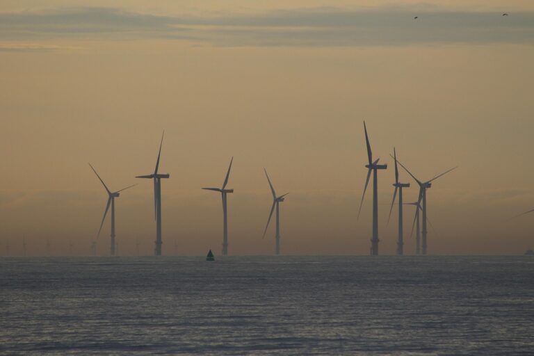 Gasgrill effizient nutzen und Energie sparen mit einfachen Tipps und Tricks