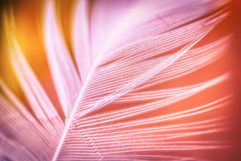 Elektrogrill nach dem Grillen mit Hausmitteln leicht und sauber reinigen