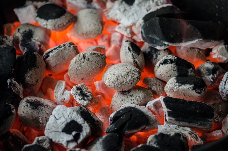 Perfekt gegrillter Fisch auf dem Grillrost ohne Anhaften und Hautverletzungen