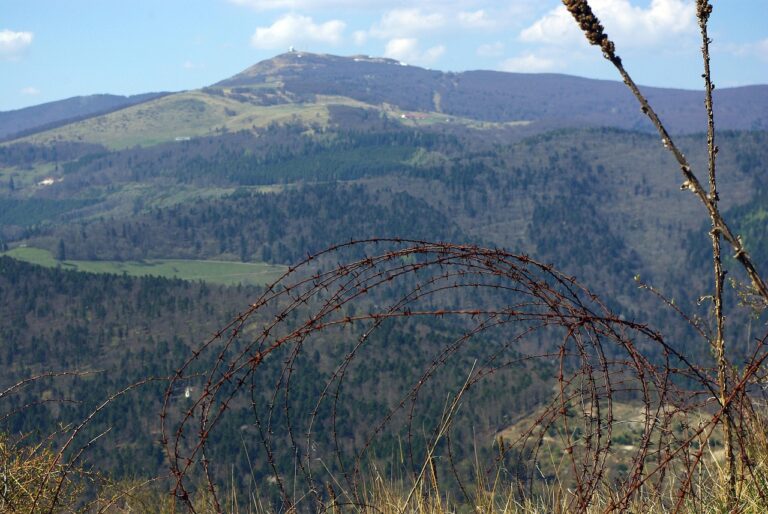 Gasgrill Kauf Checkliste für Einsteiger und Profis Übersicht wichtiger Kaufkriterien