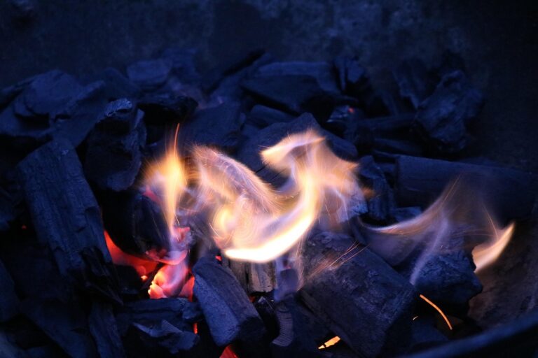 Gasgrill oder Kohlegrill wählen – die besten Argumente im Vergleich Gasgrill und Kohlegrill im Vergleich für das perfekte Sommergrillen