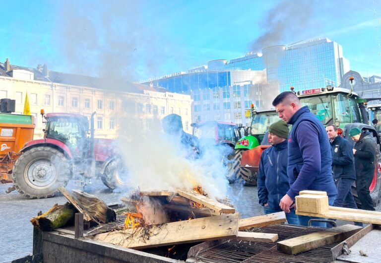 Gesundes Grillen mit Holzkohle aromatischer Genuss ohne schädliche Stoffe