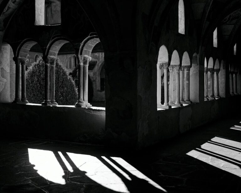 Elektrogrill mit frischem Gemüse als gesunde Alternative zum klassischen Grillen