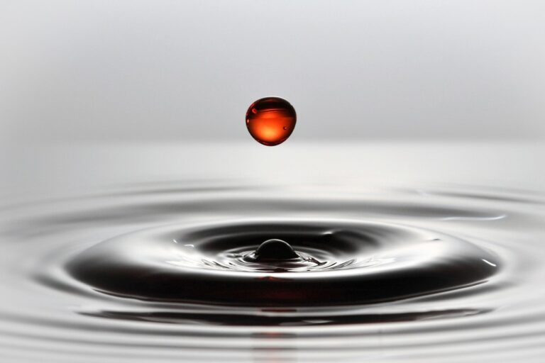 Grill Oberfläche pflegen Tipps für schonende Reinigung und langanhaltende Sauberkeit