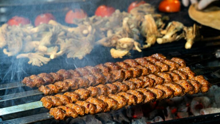 Grill Wartung Reinigung und Pflege eines Gas- und Holzkohlegrills für langanhaltende Nutzung