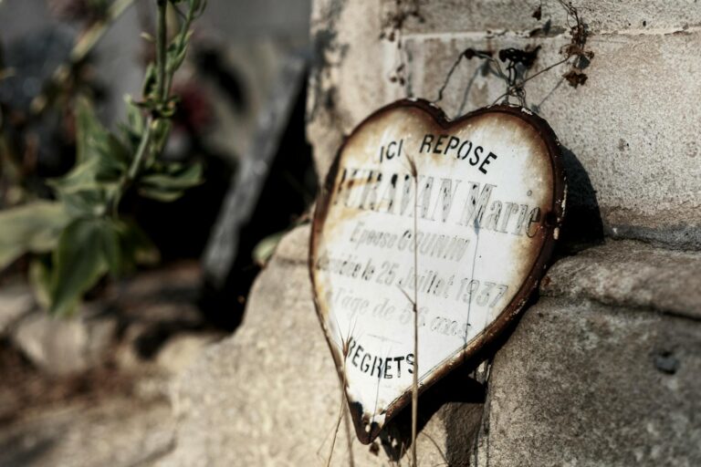 Grillarten Vergleich Holzkohlegrill und Gasgrill neben Grillgut auf Holzkohlebecue