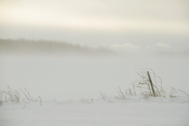 Grillrost-Bürste im Test 2026 reinigt effektiv und schützt den Grillrost vor Schäden