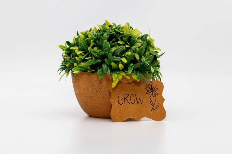 Indoor Grow mit geeignetem Equipment für erfolgreiche Pflanzen im Grillanbau