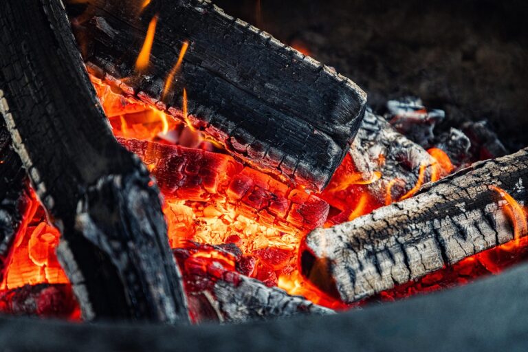 Wie Sie beim Grillen sparen und trotzdem leckere Gerichte zaubern Familie beim Grillen im Garten mit günstigen Zutaten und Holzkohle
