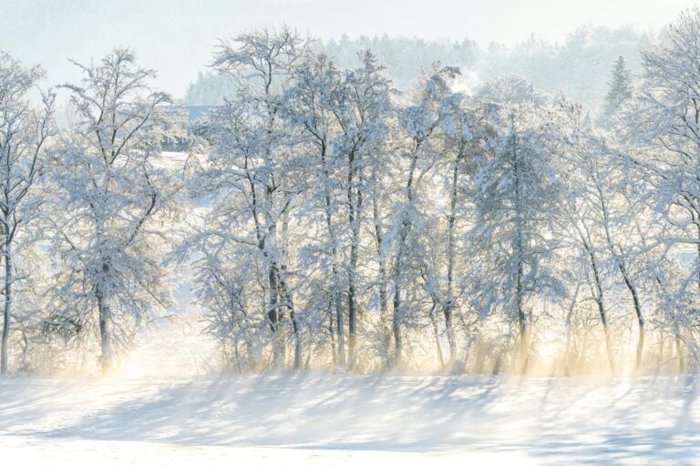 Keramikgrill mit Abdeckung im Garten schützt vor Frost und Feuchtigkeit im Winter