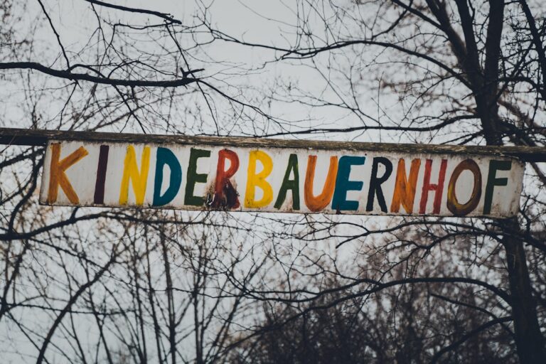 Paare beim entspannten Grillfest im Austausch über ihren gemeinsamen Kinderwunsch