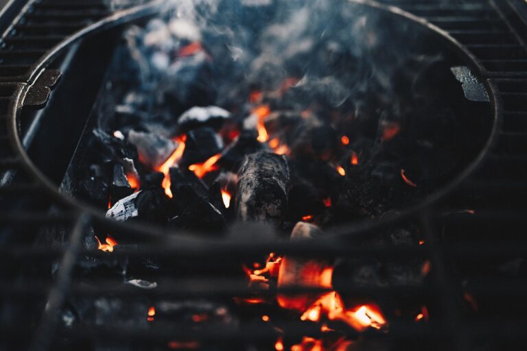 Nachhaltiges Grillen mit umweltfreundlichen Kohle Alternativen und erneuerbaren Brennstoffen