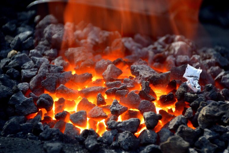 Hochwertige Holzkohle für gleichmäßige Hitze und besten Geschmack im Smoker