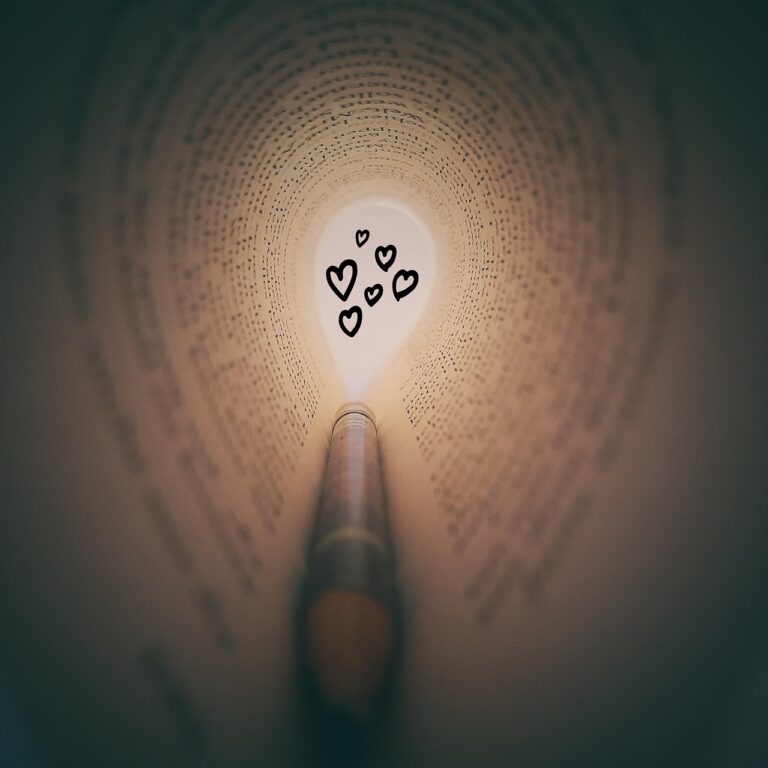 Krups Sandwichmaker mit offenen Platten und Reinigungsutensilien auf Küchentheke