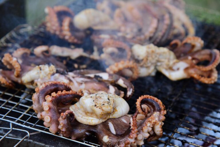 Gegrillter Oktopus mit zarten Tentakeln und mediterranen Röstaromen auf Grillrost