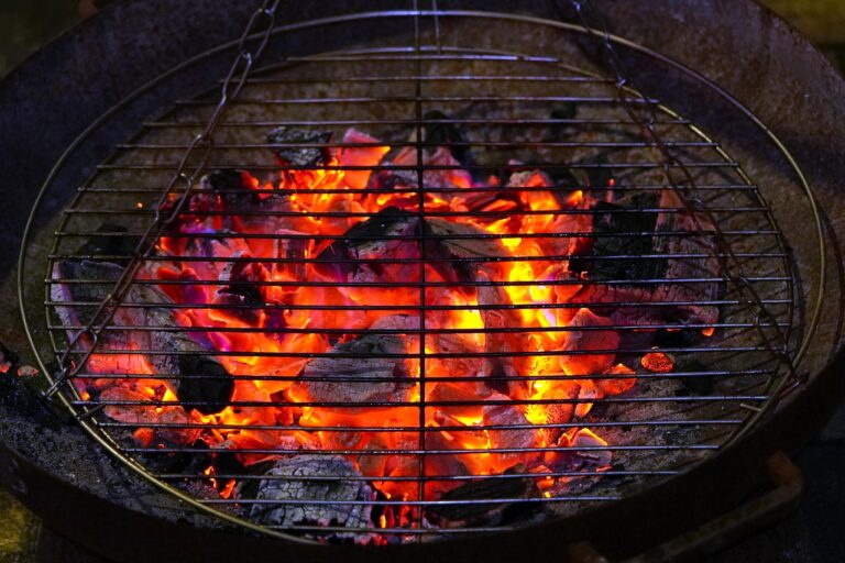 Grillrost beim Einbrennen mit Öl und Hitze vor Rost schützen und Pflege