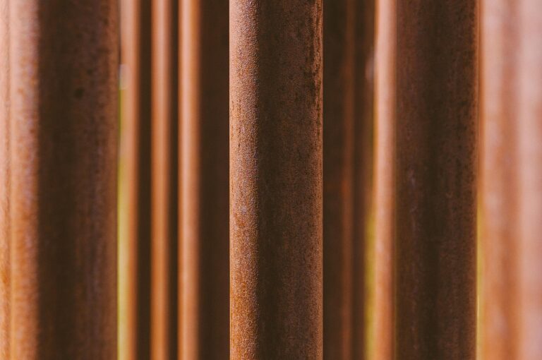 Grillrost aus Gusseisen beim Einbrennen mit Öl pflegen für lange Haltbarkeit