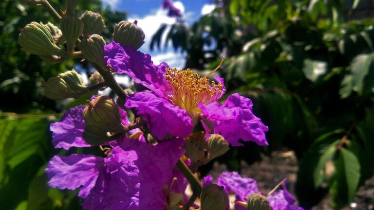 Smoker mit Thermometer und Grillzange als wichtiges Smoker Zubehör Must-haves