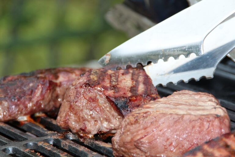 Tepro Gasgrill gründlich pflegen und reinigen für langanhaltenden Grillgenuss