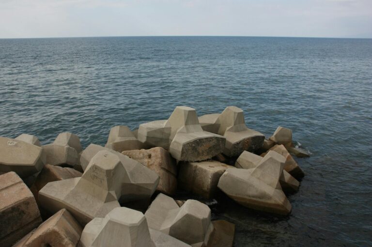 Gasgrill mit geöffnetem Deckel und entzündeter Flamme für sicheres Grillen