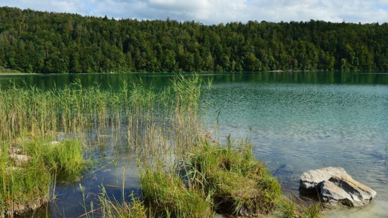 Pelletgrill unter wetterfester Abdeckhaube als sicherer Witterungsschutz im Außenbereich